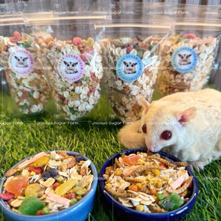 🌾🥝ชุดหัดเลี้ยง อาหารชูการ์ แฮมเตอร์ กระรอก ดอเมาท์ ขนาดทดลอง