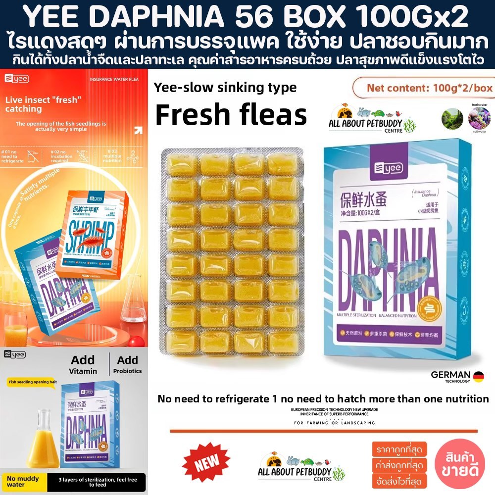 YEE DAPHNIA 56 PCS. 100Gx2  ไรแดงสด ปลอดเชื้อ อนุบาลลูกปลา ปลาชอบกินมาก อาหารปลา ลูกกุ้ง ลูกปลา ปลาทะเล ปลาสวยงาม ตู้ปลา