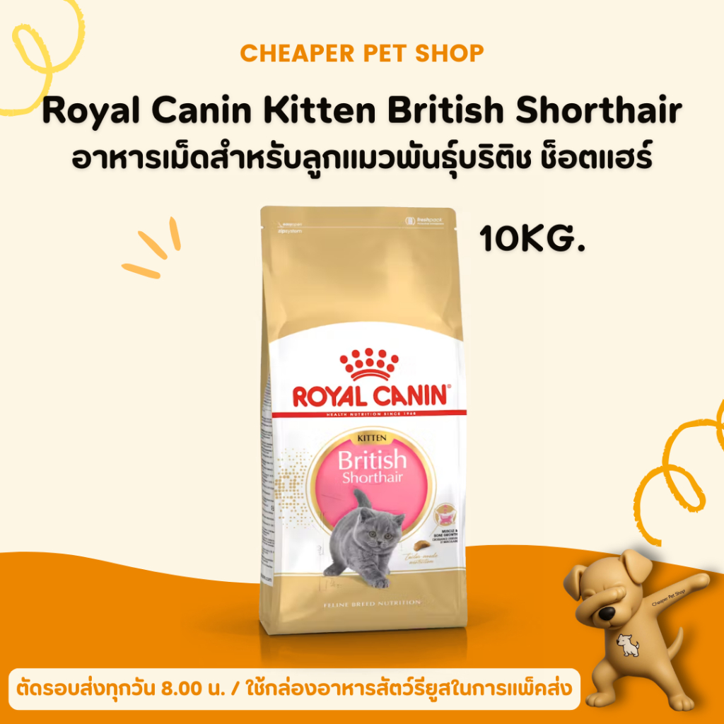 [Cheaper] Royal Canin British Shorthair Kitten 400g อาหารแมว โรยัลคานิน ลูกแมว บริติช ชอร์ตแฮร์