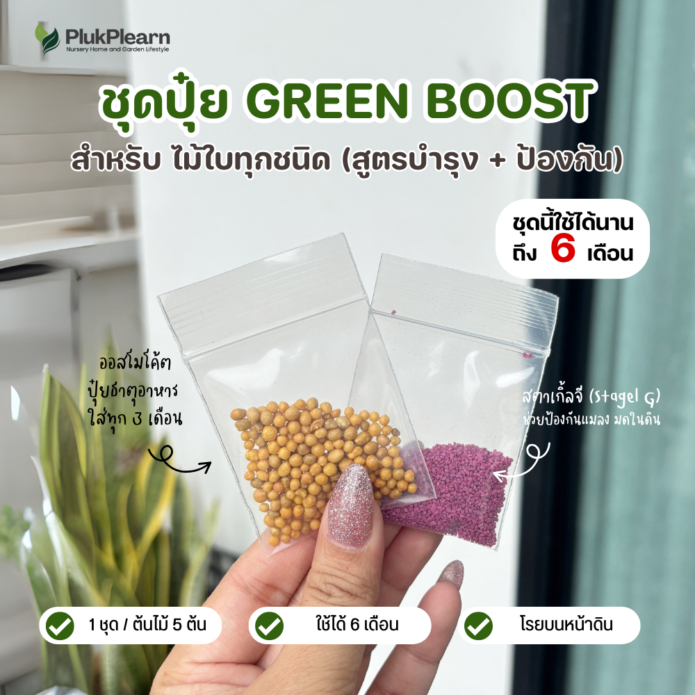 ปุ๋ย สำหรับไม้ใบ ชุดปุ๋ย Green Boost สำหรับ ไม้ใบทุกชนิด (สูตรบำรุง + ป้องกัน) ใช้ได้นาน 6 เดือน
