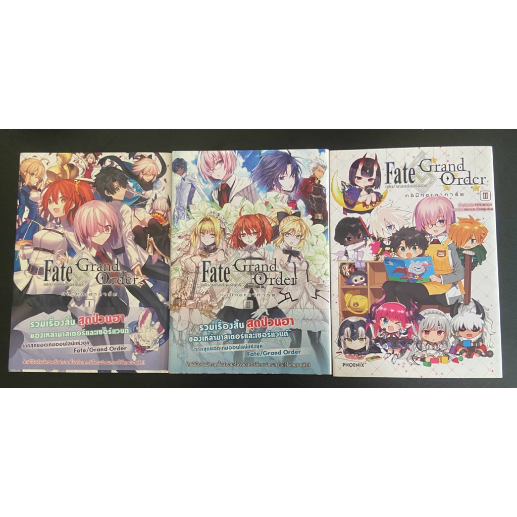 เศษ มังงะ Fate Grand Order เฟทโก