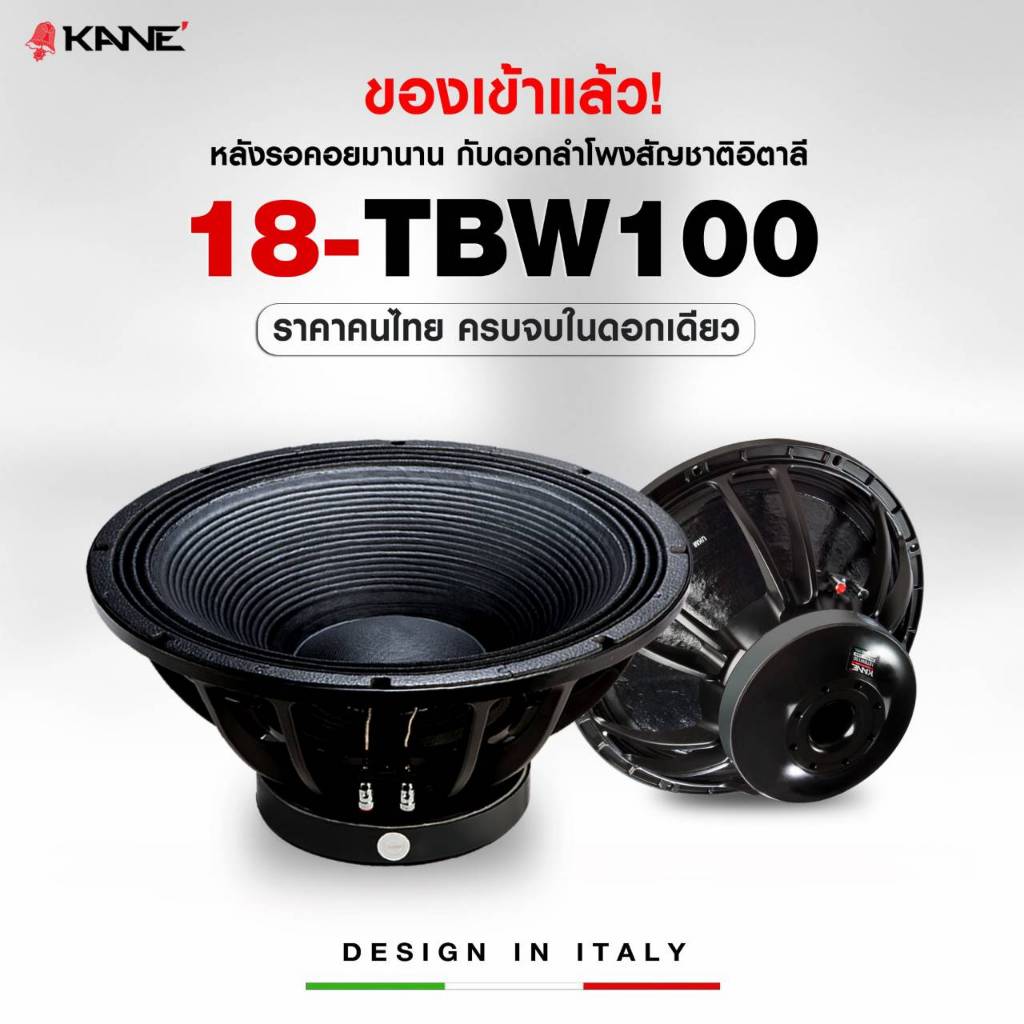 ดอกลำโพง18"KANE รุ่น TBW100 โครงหล่อ ลำโพงซับ 18 นิ้ว โครงหล่อ แข็งแรงทนทาน แม่เหล็กขนาดใหญ่ สไปเดอร