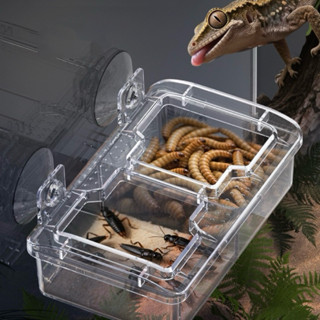 NW-66 ถ้วยอาหารสำหรับกิ้งก่า คาเมเลียน เก็คโค กันหนอนออก มี2…