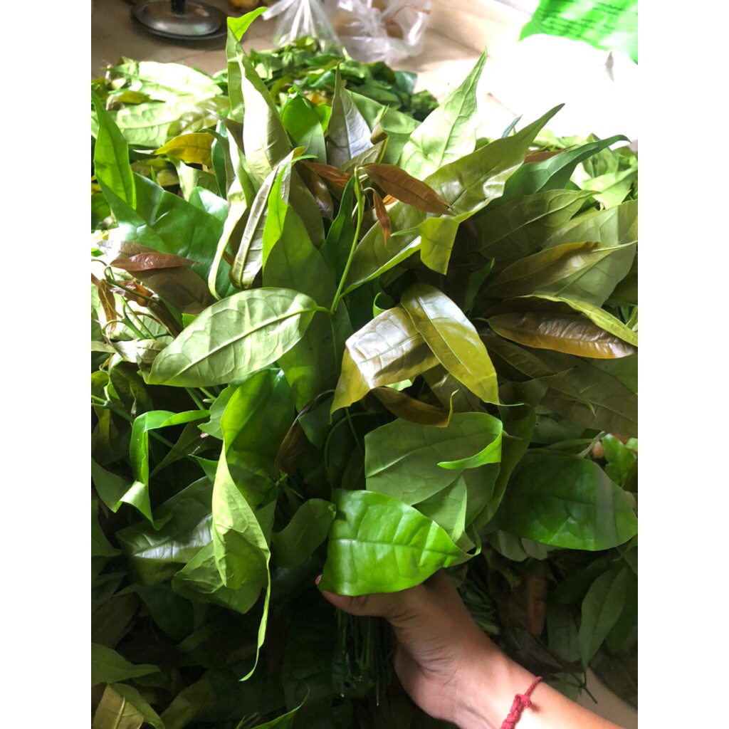 ใบเหรียง นครศรีธรรมราช  1กิโล