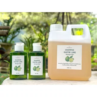 แชมพูมะกรูดสดพสุธาราCITRUS ESSENTIAL OIL SHAMPOO