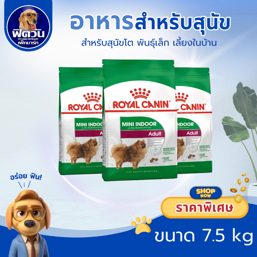 ROYAL CANIN Mini Indoor Adult สุนัขโตพันธุ์เล็กเลี้ยงในบ้านอายุ 1 - 8 ปี ขนาด 7.5 กิโลกรัม{อาหารสุนัขเม็ด}