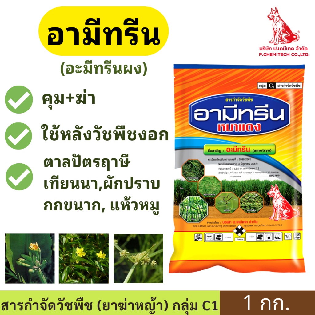 อามีทรีน WP ผง( อะมีทรีน ) ขนาด 1กก.  ตราหมาแดง ฆ่าหญ้า สารกำจัดวัชพืช ในไร่อ้อย กำจัดวัชพืชหลังงอก ผักเบี้ยหิน สาบม่วง