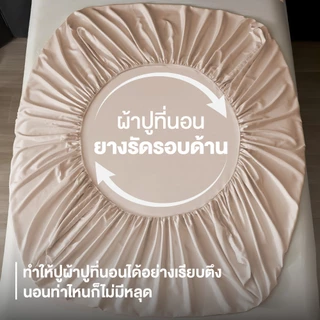 ibed ผ้าปูที่นอนเย็น นุ่มลื่น ป้องกันไรฝุ่น กันขนสัตว์ รุ่น Adaptive Cool Silk สีน้ำตาล