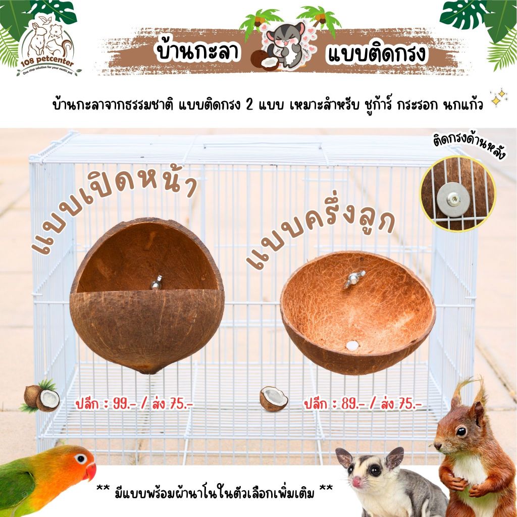 บ้านกะลาชูก้าร์ไกลเดอร์ บ้านกระรอก บ้านหนูแฮมสเตอร์ นกแก้ว บ้านกะลาครึ่งลูกติดกรง บ้านสัตว์เลี้ยง