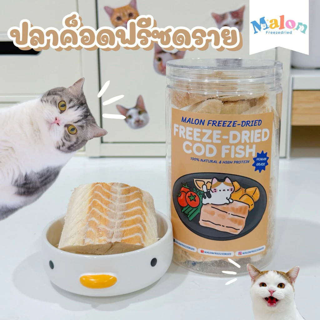ปลาค็อดฟรีซดราย MalonFreezedried / ขนมหมาฟรีซดราย ขนมแมวฟรีซดราย