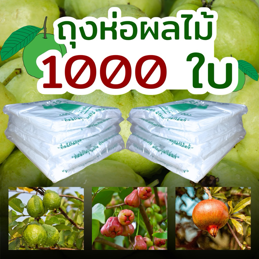 (ราคาส่ง) ถุงห่อผลไม้ฝรั่ง ชมพู่ ทับทิม ฯลฯ ขนาด 6x13 นิ้ว 1000 ใบ ป้องกันแดดและกันแมลง พลาสติกเหนียว สีขาวขุ่น
