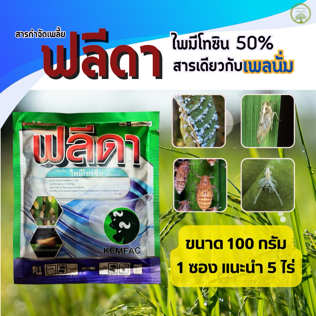 ฟลีดา⭕️ขนาด 100 กรัม⭕️ไพมีโทรซีน☘️สารเดียวกับเพลนั่ม กำจัดเพลี้ยกระโดด++☘️ออกฤทธิ์ 3ทาง น็อค คุมไข่