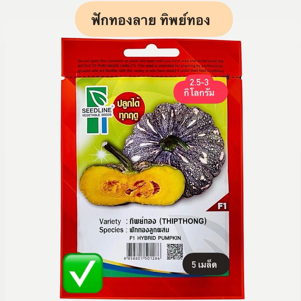 ฟักทองลาย ทิพย์ทอง เหนียว มัน ตราซีดไลน์ (5 เมล็ด)