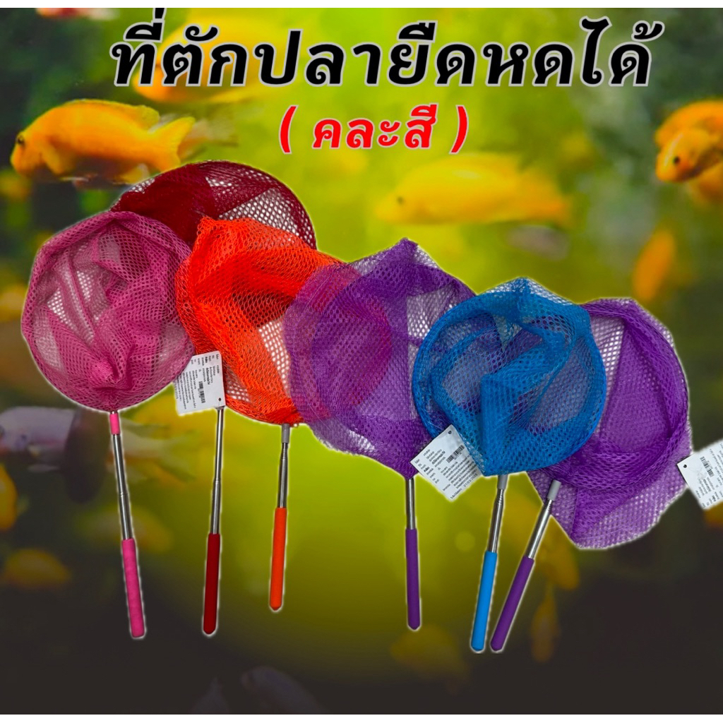 ที่ตักปลา ยืดหดได้ เหมาะกับการใช้ตักปลาในอ่าง อาหารปลา อุปกรณ์สำหรับปลา ตู้ปลา อามิ น้ำเขียว เปลเลี้ยงปลา