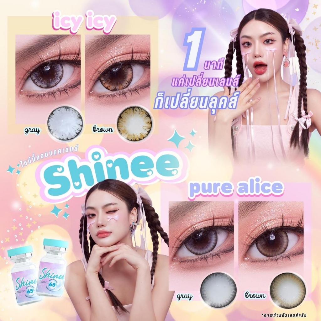 Shineelens Pure Alice คอนแทคเลนส์รุ่นฮิต