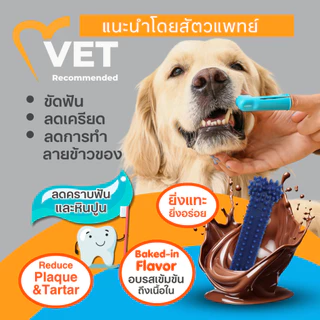 🇺🇸Made in USA🇺🇸 Nylabone Flexi Chew Textured Dental Bone Dog Chew Toyของเล่นขัดฟันสุนัขมีปุ่มรอบด้าน