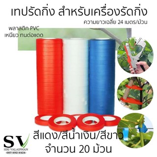 เทปรัดกิ่ง แพ็ค 20 ม้วน สำหรับเครื่องรัดกิ่ง กรรไกรผูกกิ่ง เครื่องผูกรัดกิ่งไม้ได้ทุกรุ่น (ในม้วนยาวเฉลี่ย 24 เมตร)
