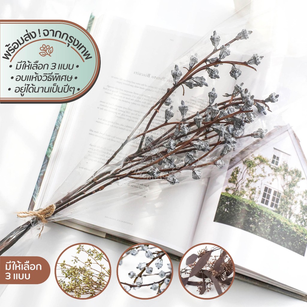 Dried Seed Bouquet ช่อลูกไม้อบแห้ง | ลูกไม้ อบ แห้ง ธัญพืช ต้น ดอก ใบ เลื้อย ประดับ กิ่ง ก้าน กระถาง