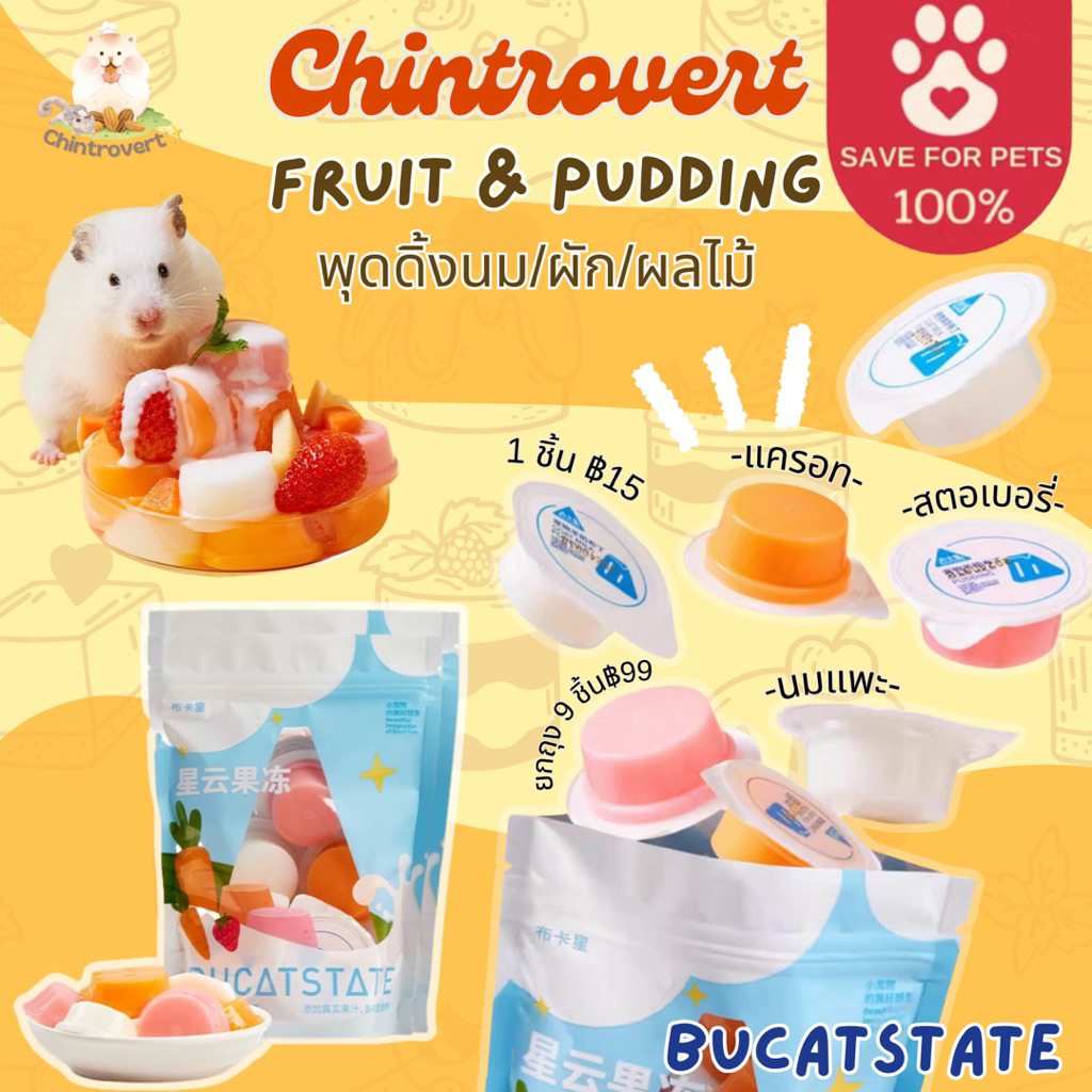 Chintrovert ✨| BUCATSTATE พุดดิ้งผักผลไม้ อร่อย บำรุงร่างกาย | กระต่าย แฮมเตอร แฟตเทล ดอร์เมาท์ ชูการ์