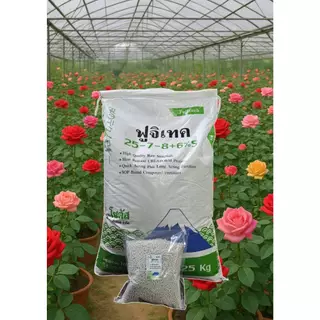 (แบ่งบรรจุ 1 กก.) ปุ๋ย ฟูจิเทค 25-7-8+6% S (Fujitech) สูตรเร่งโต พัฒนาจากประเทศญี่ปุ่น โซตัส