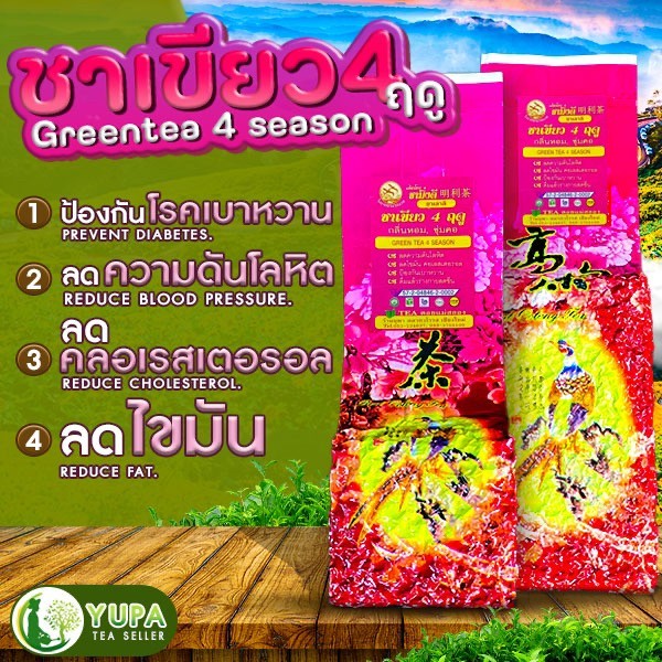 ชาเขียว 4 ฤดูออร์แกนิก 1ปีเก็บครั้งเดียว ยอดแรก เกรดดีที่สุด