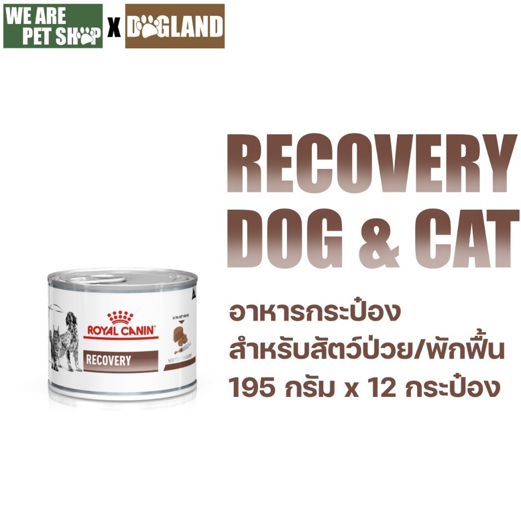 Royal Canin Vet Dog 12 กระป๋อง Recovery หมาแมวพักฟื้น (195g*12 กระป๋อง)