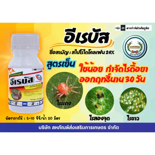 อีเรบัส 500ซีซี และ 1 ลิตร สไปโรไดโคลเฟน 24%SC เนื้อครีม ยาเย็น กำจัดไรแดง ไรขาว ไรสนิม ตราหวีทอง