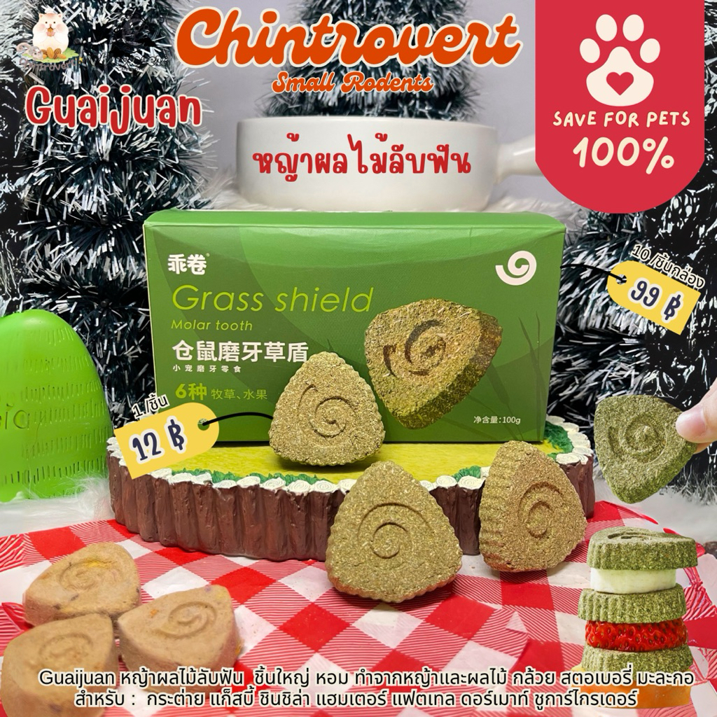 Chintrovert ✨| ลับฟันหญ้าชนิดแบ่งขาย 1 ชิ้นป้องกันโรคฟันยาว | สัตว์ฟันแทะทุกชนิด