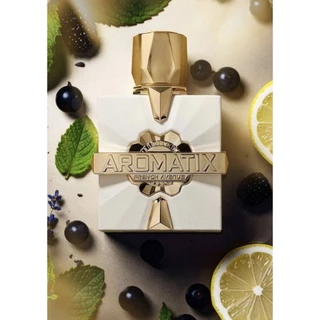 FRENCH AVENUE AROMATIX PLATINE BLANC EXdp 4 recensioni Remind of Torino21 Xerjoff