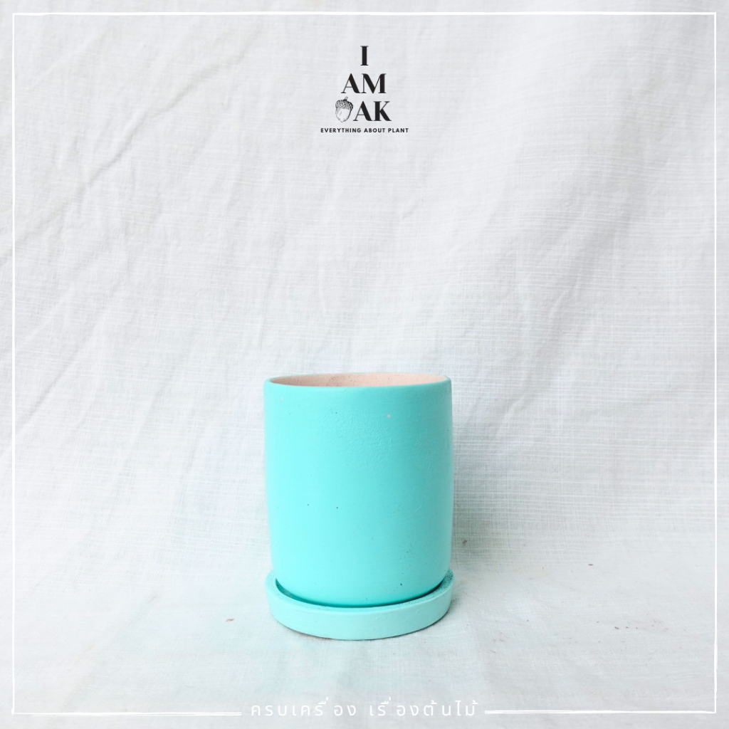 มุมมอง 6