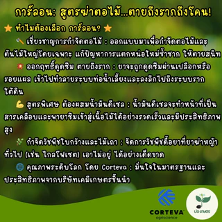การ์ลอน (100 มล.) [ไตรโคลเพอร์] สูตรฆ่าต้นไม้ใหญ่ ตอไม้ ตอกระถิน วัชพืชดื้อยา ตายถึงรากถึงโคน