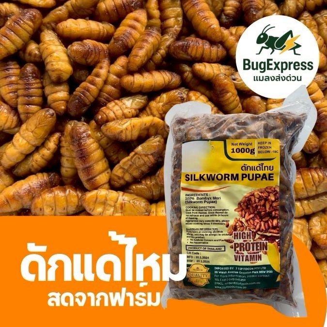 ดักแด้แช่แข็ง 1000 กรัม  (หนอนไหม) ยี่ห้อแมลงส่งด่วน