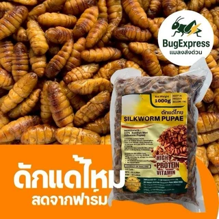ดักแด้แช่แข็ง 1000 กรัม (หนอนไหม) ยี่ห้อแมลงส่งด่วน