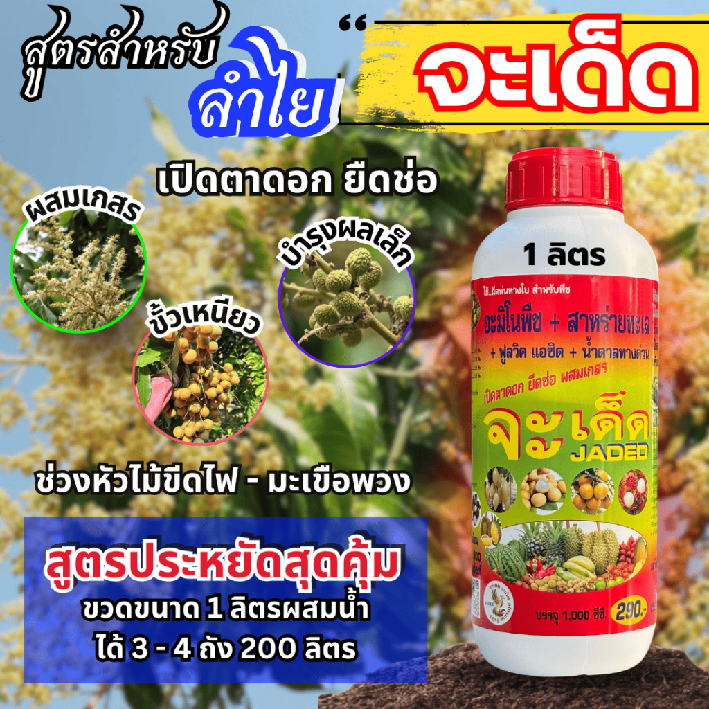 "จะเด็ด" 1 ลิตร ฉีดพ่นทางใบ สำหรับ “ลำไย” เปิดตาดอก ยึดช่อ ผสมเกสร บำรุงลูกเล็ก