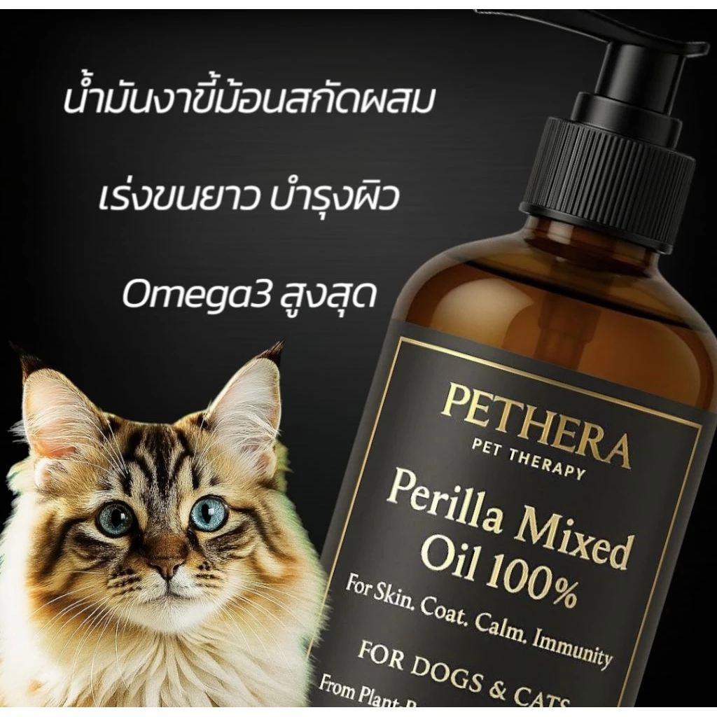 *เกรดประกวด น้ำมันบำรุงใช้คลุกอาหารเม็ด สูตรดูแลสุขภาพผิว/เส้นขน น้องที่แพ้อาหารง่าย ทานได้ต่อเนื่องเป็นประจำ thumbnail 3