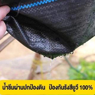 Daily Gold พลาสติคคลุมดิน พลาสติกคลุมหญ้า ผ้าคุมวัชพืช ผ้าปูกันหญ้า (ซึมผ่านได้) 1×5 1×10 1×50 1×100 ผ้ากันวัชพืช ผ้าคลุ