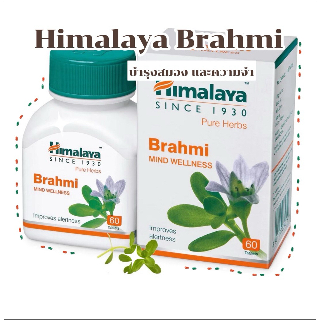 Himalaya Brahmi ช่วยบำรุงสมอง 60 เม็ดของแท้ จากอินเดีย