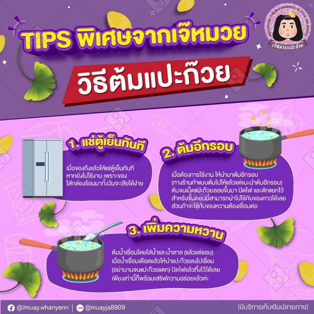[ของแท้✅️100%] แปะก๊วยสด 1กิโล ราคาส่ง | เม็ดใหญ่ ไม่ดำ | ไม่ต้องแทงไส้ ไม่ขมแม้ไม่ออก | คัดเกรด บำรุงสมอง - 4