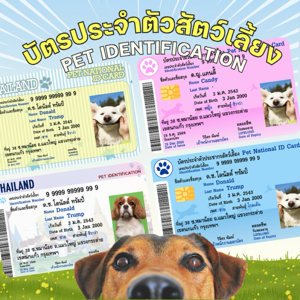 บัตรประจำตัวประชาชนสัตว์เลี้ยง บัตรประชาชนหมาแมว บัตร pvc