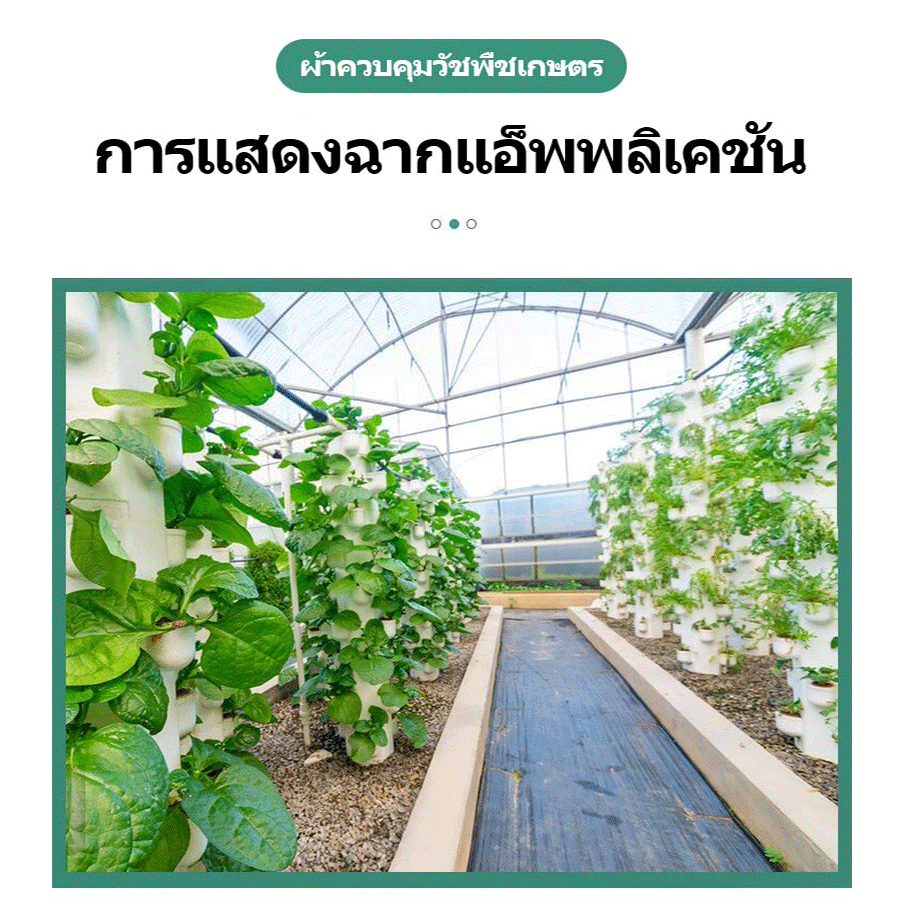 🔥ซื้อ1แถม1🔥พลาสติกคลุมดิน (หนาขึ้น) ผ้าคลุมดิน ผ้าคลุมหญ้า ฆ่าวัชพืช อายุการใช้งาน 3-5 ปี รูปที่ 6
