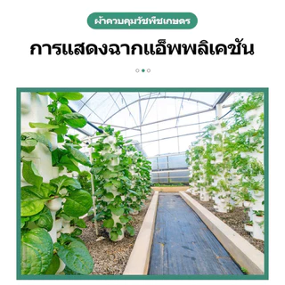 🔥ซื้อ1แถม1🔥พลาสติกคลุมดิน (หนาขึ้น) ผ้าคลุมดิน ผ้าคลุมหญ้า ฆ่าวัชพืช อายุการใช้งาน 3-5 ปี