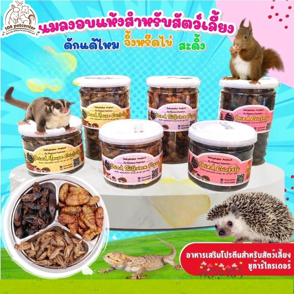 (IPshop) ขนมหนูแฮมเตอร์ ขนมชูก้าร์ กระรอก แมลงอบแห้ง อาหารเสริมสำหรับสัตว์เล็ก 2 ขนาด