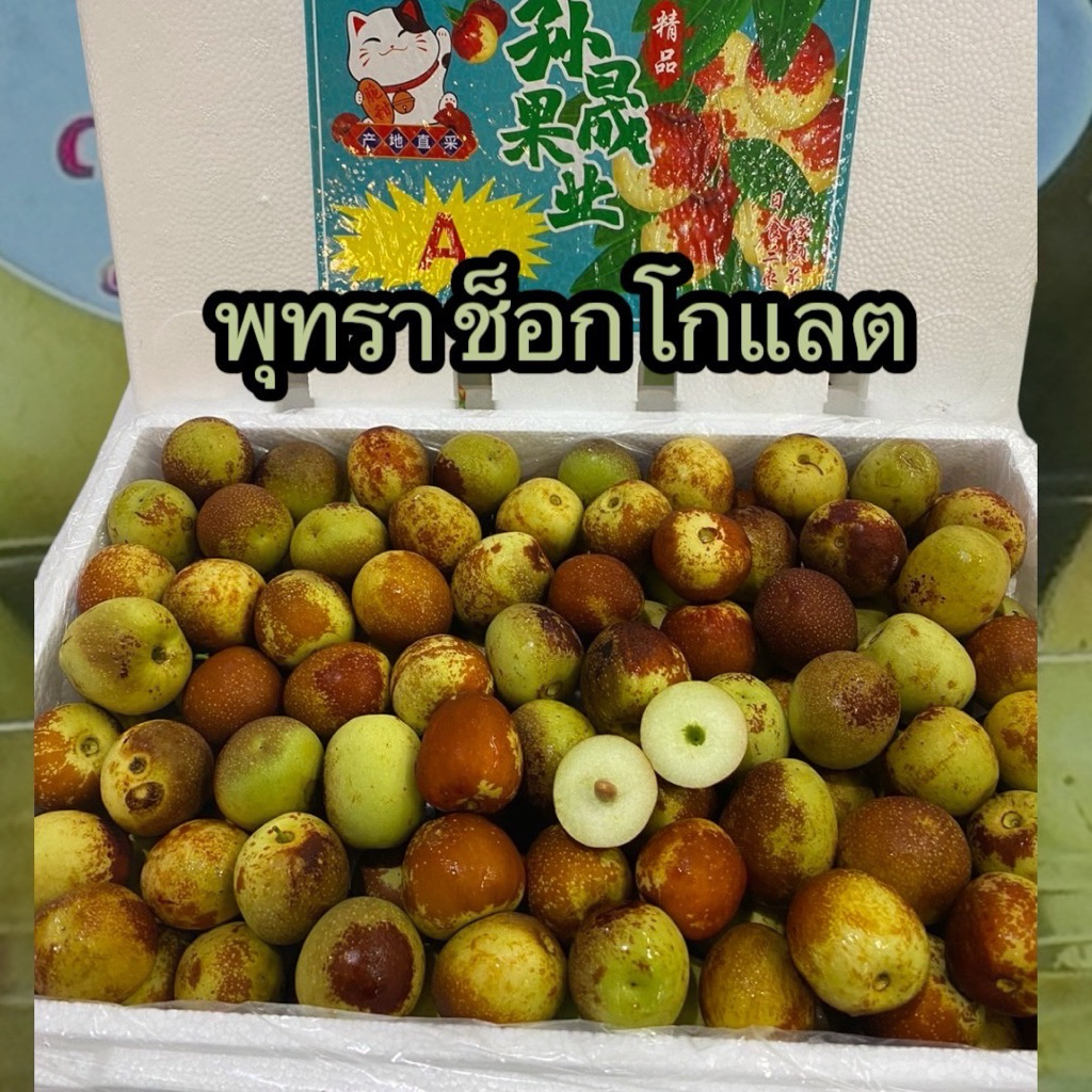 พุทราช็อกโกแลต นำเข้า ยกลัง 2.6 – 3กิโล ลูกใหญ่ หวาน กรอบ