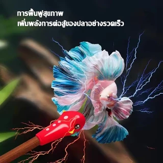 ไม้ล่อปลากัด ปลากัด ไม้ล่อปลาแบบหัวปลากัด มีหลายแบบหลายราคาให้เลือก จะทำให้ปลาว่ายน้ำพริ้วกว่า