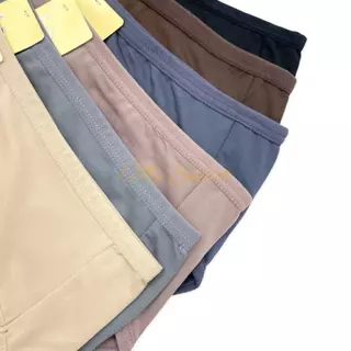 กางเกงในผ้าเด้งลื่น 10 ตัวคละสี ผ้าขึ้นห้างใส่สสบาย