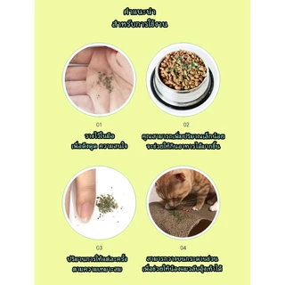 AL-022 กัญชาแมว Catnip ออร์แกนิคแบบหลอด บบผงขนาด 40 ml แคดนิปแมว แคตนิปแมว กัญชาหลอด