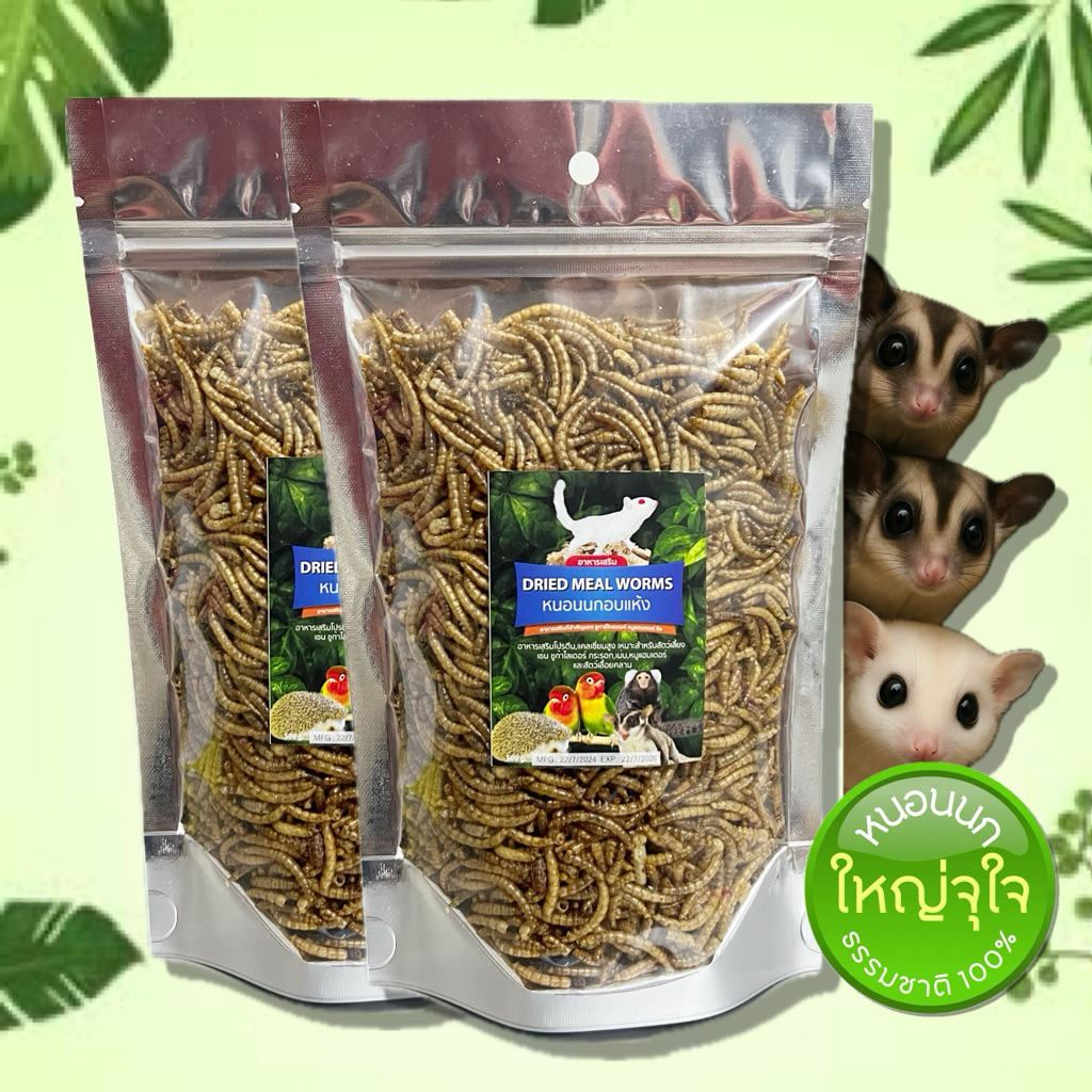 หนอนนกอบ Dried Mealworms หนอนนกอบแห้งตัวใหญ่พร้อมทาน ทานเป็นของว่างหรือควบคู่ผักผลไม้ ชูการ์ นก แฮมเตอร์ ดอร์เมาส์