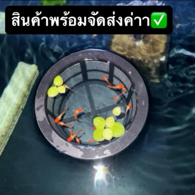 รูปภาพ 3