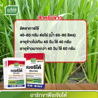 เบอริโต้ ขนาด 250 กรัม ฟลอนิคามิค กำจัดหวี่ขาว เพลี้ยกระโดด