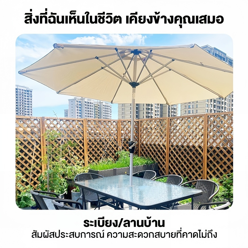 รูปภาพ 5